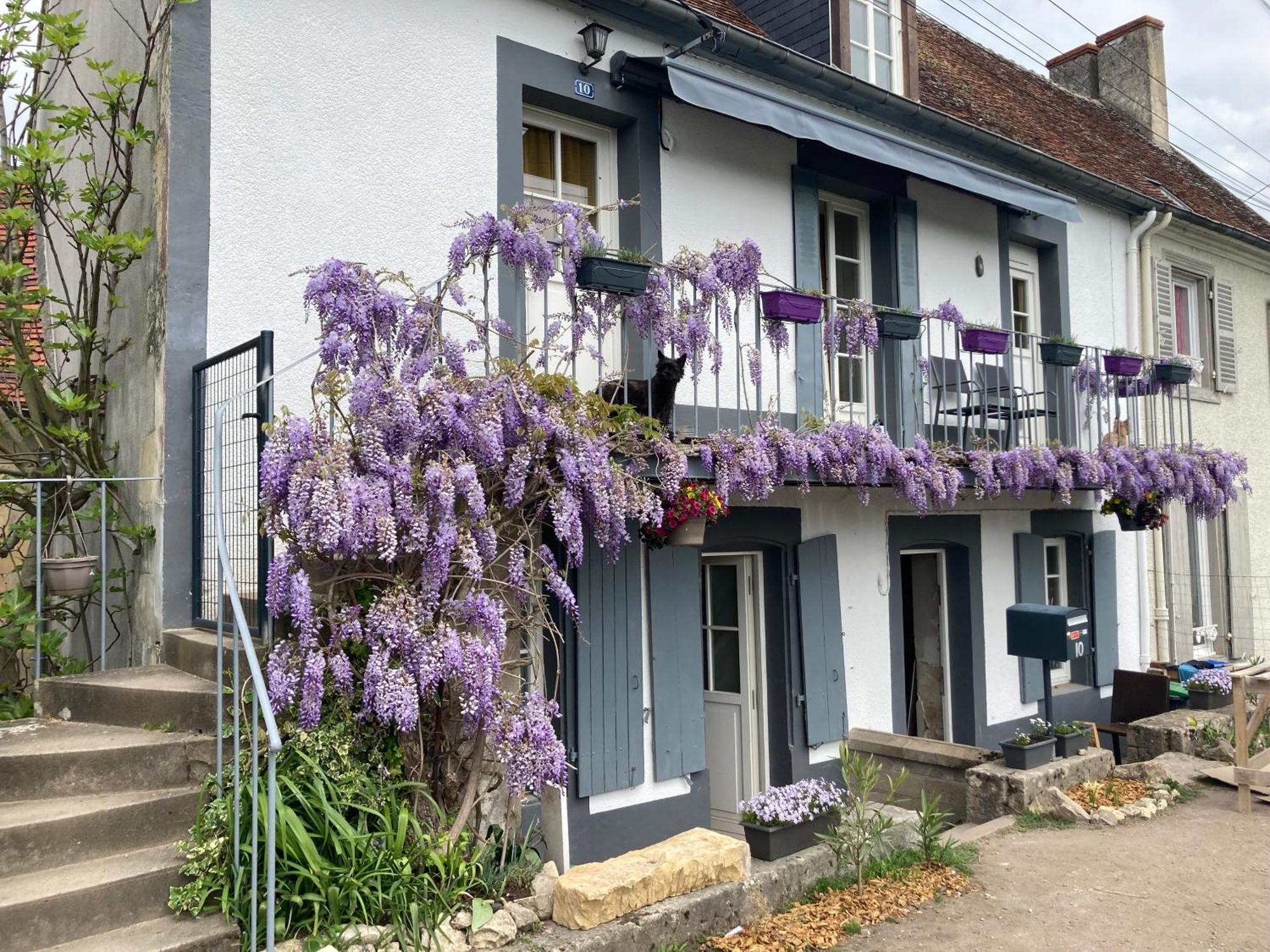 Le Lodge De Serenite Cuffy Экстерьер фото