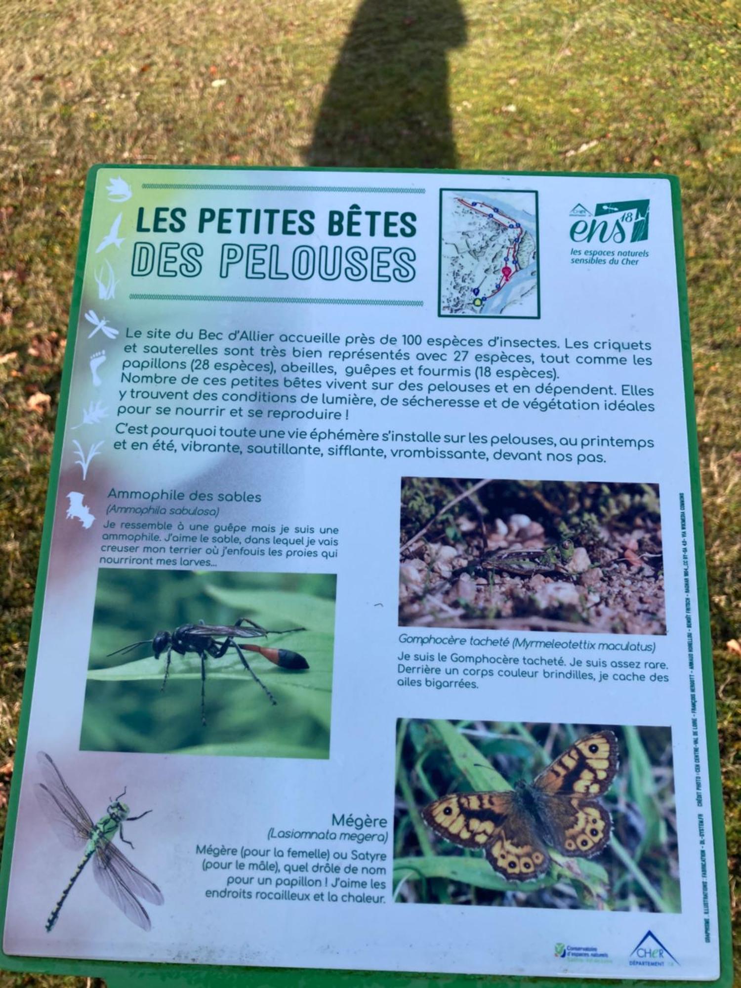 Le Lodge De Serenite Cuffy Экстерьер фото